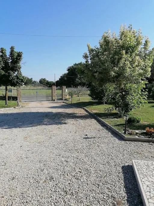 Il Boschetto Da Tiziana Apartment Badia Al Pino