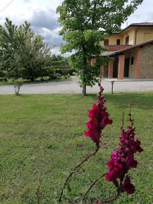 Il Boschetto Da Tiziana Apartment Badia Al Pino 0*,