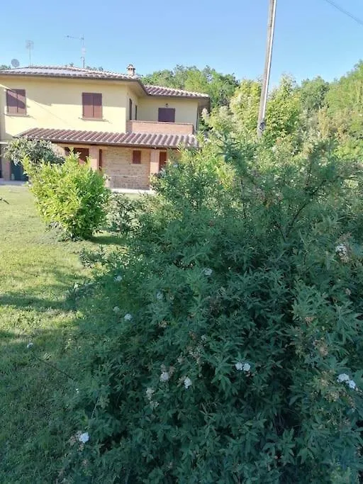 Il Boschetto Da Tiziana Apartment Badia Al Pino